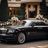  LAVISH CARS RENTAL DUBAI - Car Rental in Dubai