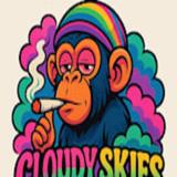 CloudySkies Vape Shop - Vape Shops in Odessa