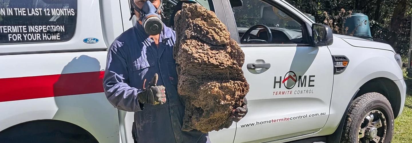 TermiteExpert.com.au cover photo