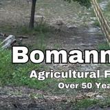 Bomann Fencing Of Naylor - Agricultural Products & Services in Naylor