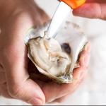 Tasman Star Seafood Market - photo 5