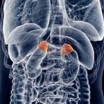 Professor Stan Sidhu - photo 1