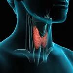 Professor Stan Sidhu - photo 4