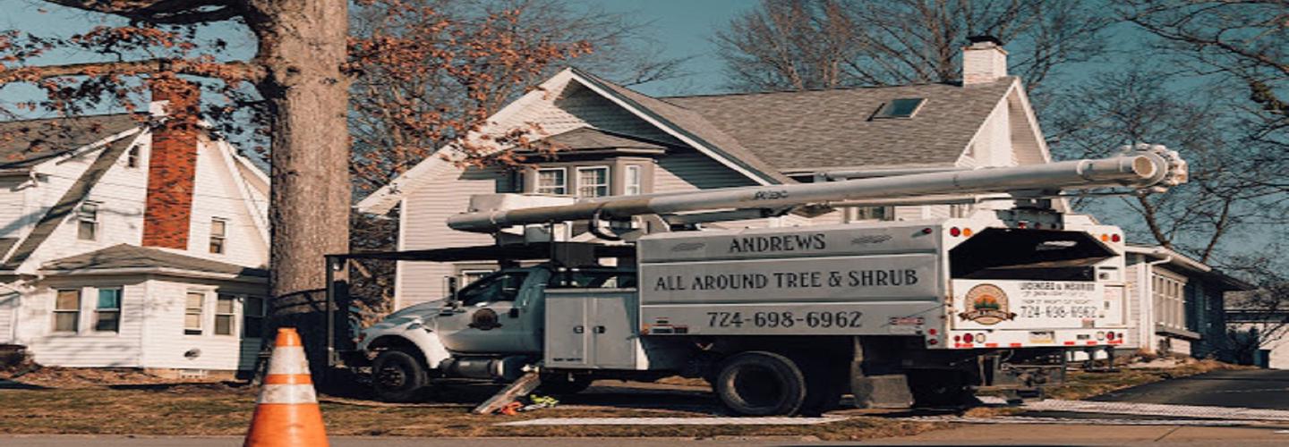 Andrew's All Around Tree & Shrub Service cover photo