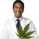 Dr Feel Good Weed Delivery DC