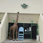 Jaderoom Santa Ana Cannabis Dispensary & Delivery - photo 3