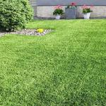 MBM Gardening & Tree Care Ltd - photo 2