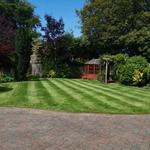 MBM Gardening & Tree Care Ltd - photo 5