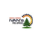 Ivan's Tree Service - Tree Services in Milford