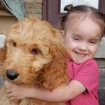 Puppy Love Paradise - photo 3