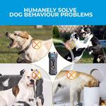 Dazer Australia  City: 		 - photo 3