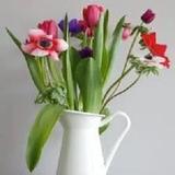 Cardiff Therapy Rooms - Counseling & Mental Health in Cardiff