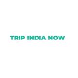 Trip India Now – Get the Best India Tour Packages - Travel Agents in Delhi