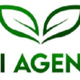 MFI Agency