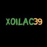 Xoilac TV - Damp Proofing & Dry Rot Services in Dollard-Des Ormeaux