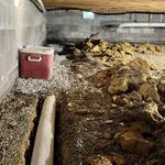 Your Crawlspace Solution - photo 4