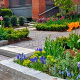 Paysager Summit Landscaping Inc. - Landscaping in Sainte-Catherine