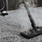 Inner West Carpet Cleaner - photo 3