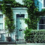 The Richmond Tree Surgeon - photo 3