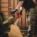 The Richmond Tree Surgeon - photo 6