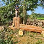 J M TREE SERVICES LIMITED - photo 1