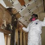 Soflo Mold Specialist - photo 4