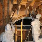 Soflo Mold Specialist - photo 5