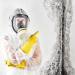 Soflo Mold Specialist - photo 6