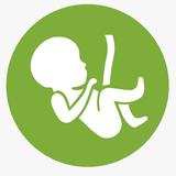 产科医生新加坡