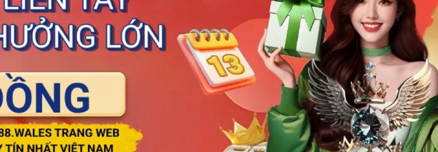 xin88wales cover photo