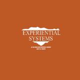 experientialsystems - Business Consulting in Dyer