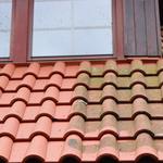 Pressure Washing Lakeland - photo 3