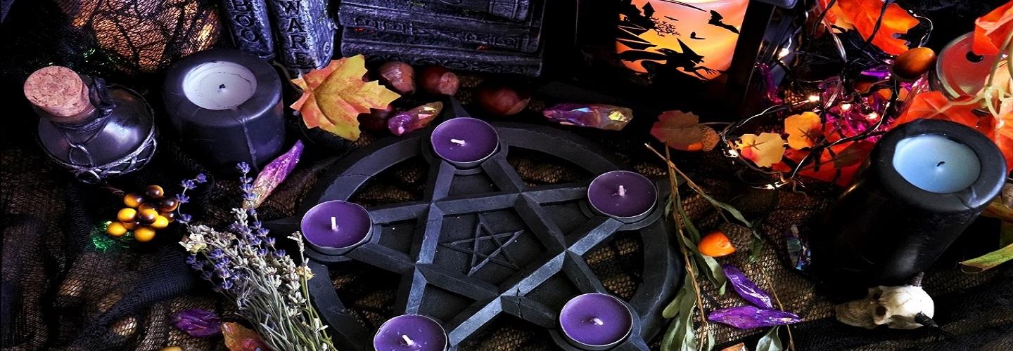 The Alternative Path-Coexist cover photo