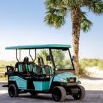 Anna Maria Island Golf Cart Rentals - photo 6
