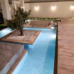 HSS7 Architects - photo 7