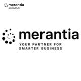 MERANTIA - Business Financial Consultants in Chicago