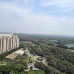 dlfdeveloper - photo 6