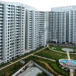 dlfdeveloper - photo 7