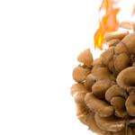 Bolsa Buds Dispensary - photo 5