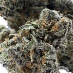 Bolsa Buds Dispensary - photo 8