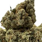 Bolsa Buds Dispensary - photo 9