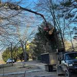 Garrison McKinney Tree and Bridge Services LLC - photo 2