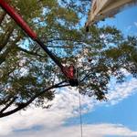 Garrison McKinney Tree and Bridge Services LLC - photo 3