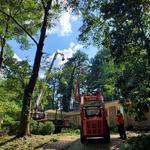 Garrison McKinney Tree and Bridge Services LLC - photo 5