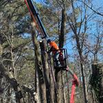 Garrison McKinney Tree and Bridge Services LLC - photo 6