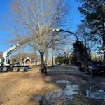 Garrison McKinney Tree and Bridge Services LLC - photo 7