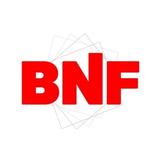 BNF Roofing (Lakeland, FL) - Roofing in Lakeland