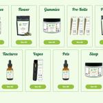 Nirvana Today LLC - photo 1