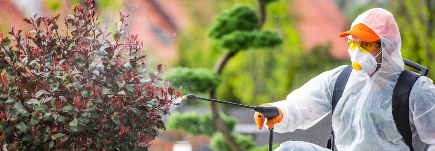 EZ Pest Control cover photo