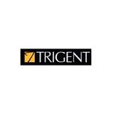 trigent software - Professional Services in Bengaluru
